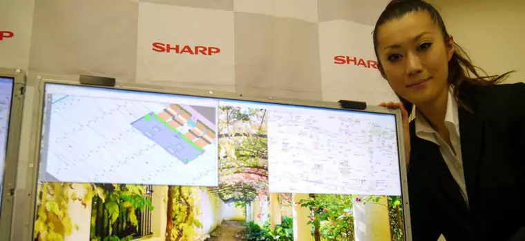 Sharp ma wyświetlacze o ultrawysokiej rozdzielczości