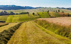 Sejm zgodził się na nabywanie ziemi rolnej przez Kościół. Poprawka PiS wzbudziła zdziwienie posłów