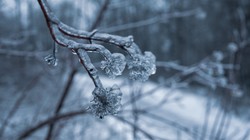 IMGW ostrzega. W tych częściach kraju temperatura spadnie do -25 stopni