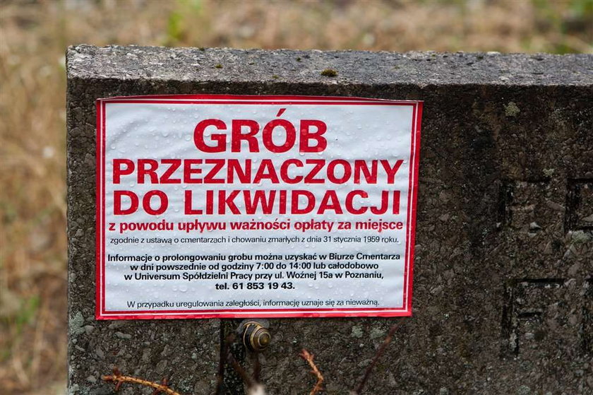 cmentarz, nalepki, opłaty, groby, likwidacja