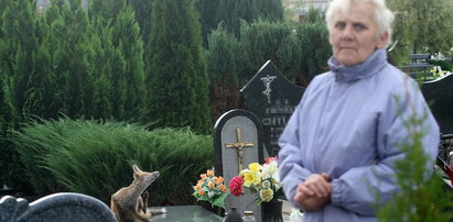 Groza w Koszalinie. Lisy opanowały cmentarz