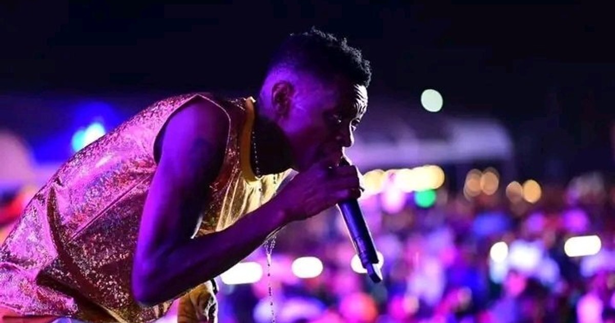 Chameleon thrills fans with timeless music in sold out concert | Pulse