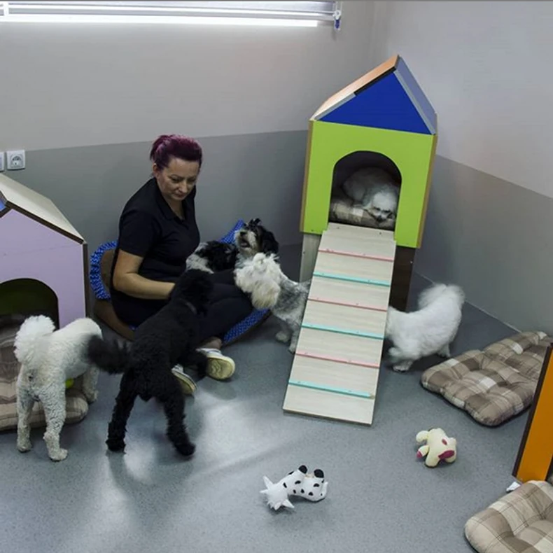 Udobne kućice i dobro društvo: Kome treba bolji doček Nove godine?