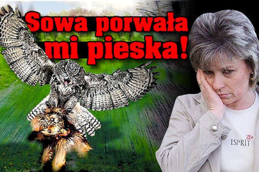 Sowa porwała mojego pieska!