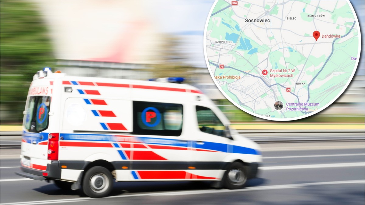 Dziewczynka pogryziona przez psy. "Tata próbował je rozdzielić"