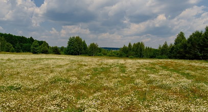 Będzie się zmieniać jak w kalejdoskopie. Pogoda na pierwszy weekend lipca