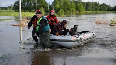 Zalane schronisko dla zwierząt poruszyło internautów. Jak pomóc poszkodowanym zwierzętom?