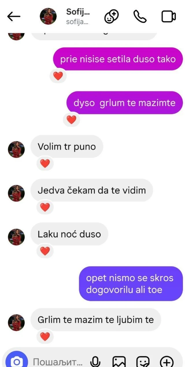 Sofija Janićijević HTELA TRI NEKRETNINE na svoje ime, a OVAJ USLOV joj je Dane postavio pred ulazak u Elitu - PORUKE, NOVAC I PREVARA KOJE ŠOKIRAJU JAVNOST!