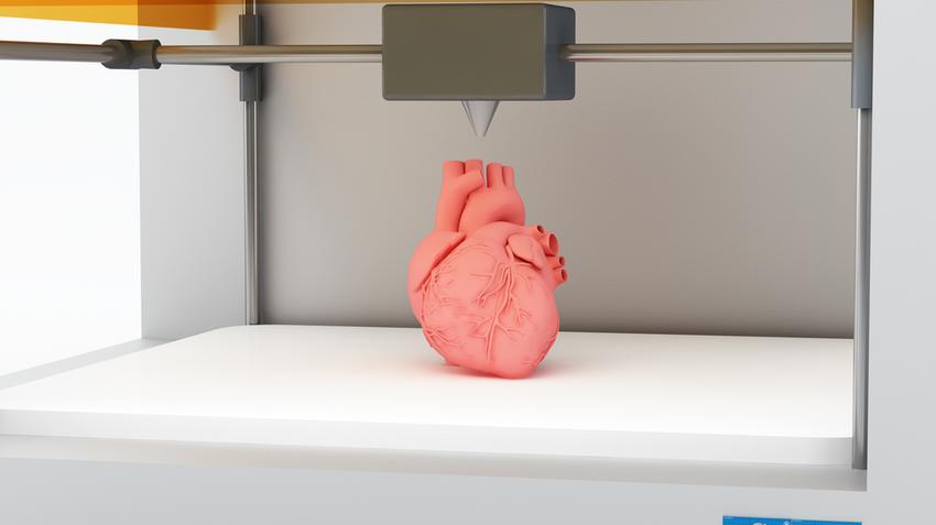 3D-s szív, szerv, átlátszó, német, kutató, új, technika