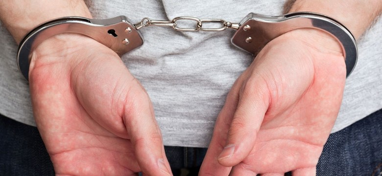Żarłoczna krowa pokonała ukraińskich bandytów