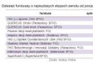 Ranking funduszy inwestycyjnych - najwyższe stopy zwrotu w 2013 roku