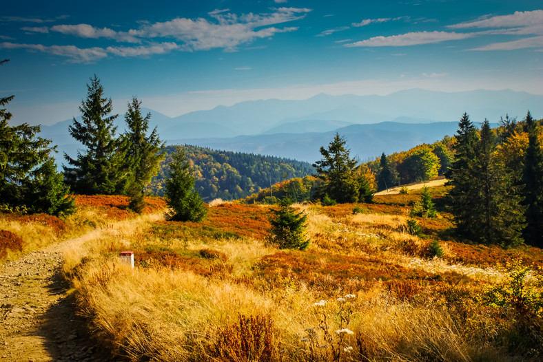 Beskid Śląski, widok z Wielkiej Raczy