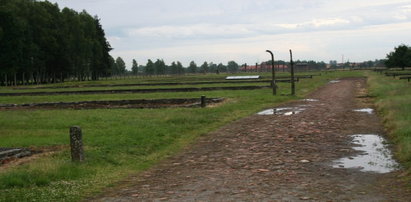 Turyści z Anglii okradli muzeum Auschwitz
