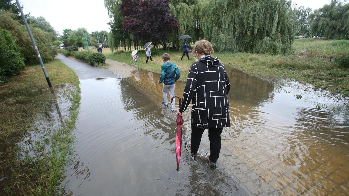 Szczecin, Jeziorko Słoneczne, lipiec 2021