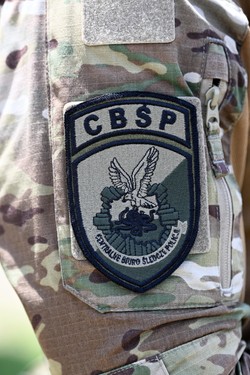 CBŚ prowadzi "analizę kryminalistyczną" przepływów finansowych profesora Uniwersytetu Gdańskiego