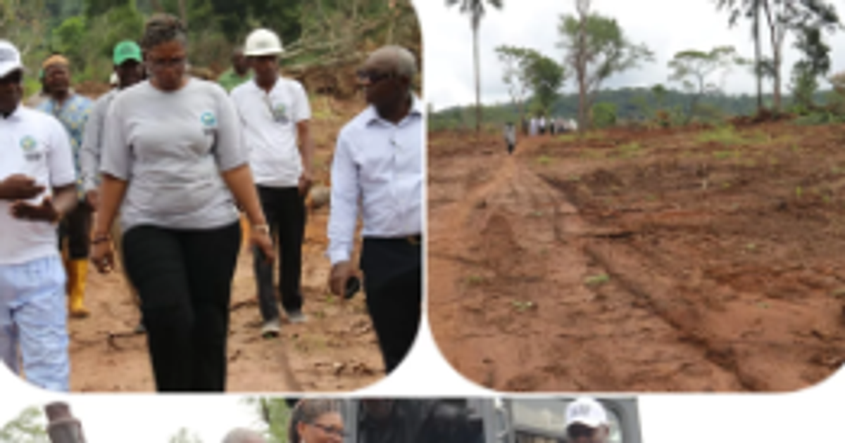IFAD clears 50 hectares of land for cassava cultivation by 50 Kogi farmers - Vimarsana News