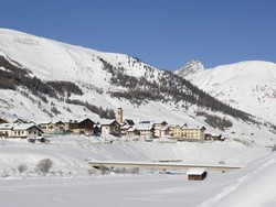 Kontrowersyjny pomysł PO. Właściciele stracą prawo do gruntów?