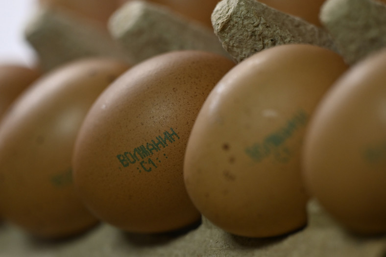 Kosmiczne ceny jajek to symbol gospodarczych problemów reżimu Putina