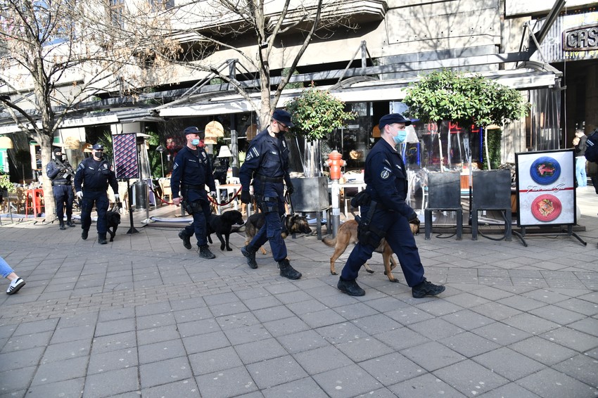 Psi tragači u Kasini