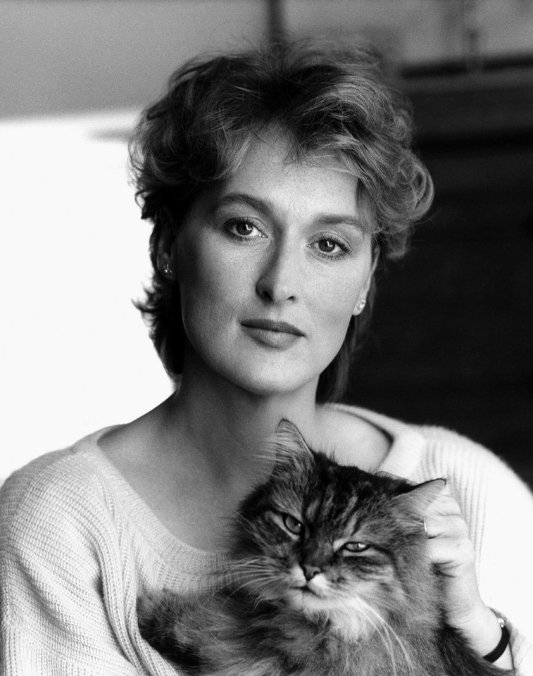 Sławni właściciele kotów: Meryl Streep