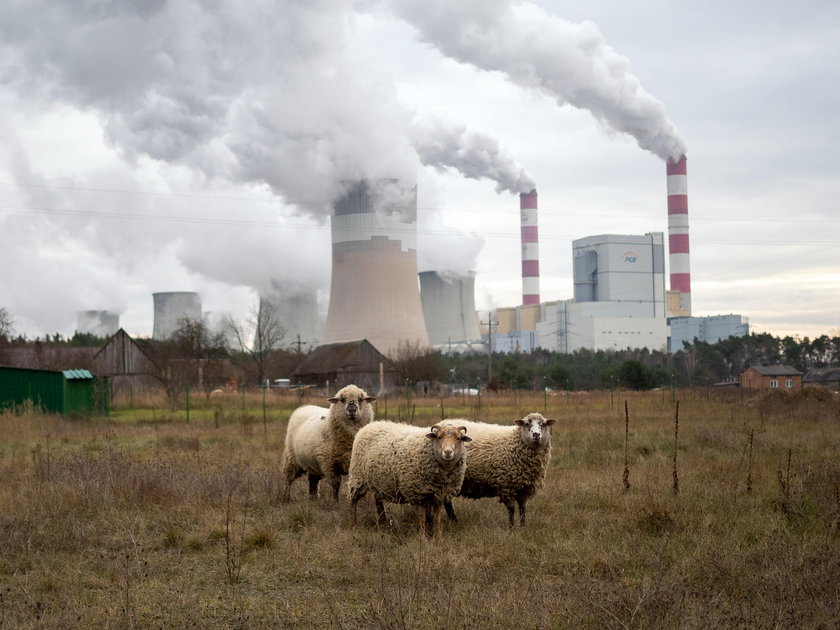 Będzie elektrownia atomowa w Bełchatowie? 