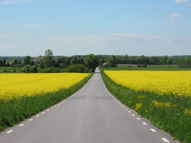 Rządowy program zaowocował remontem 2,7 tys. km dróg lokalnych w Polsce