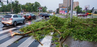 Nawałnice nad Polską. Nie żyje kobieta przygnieciona drzewem