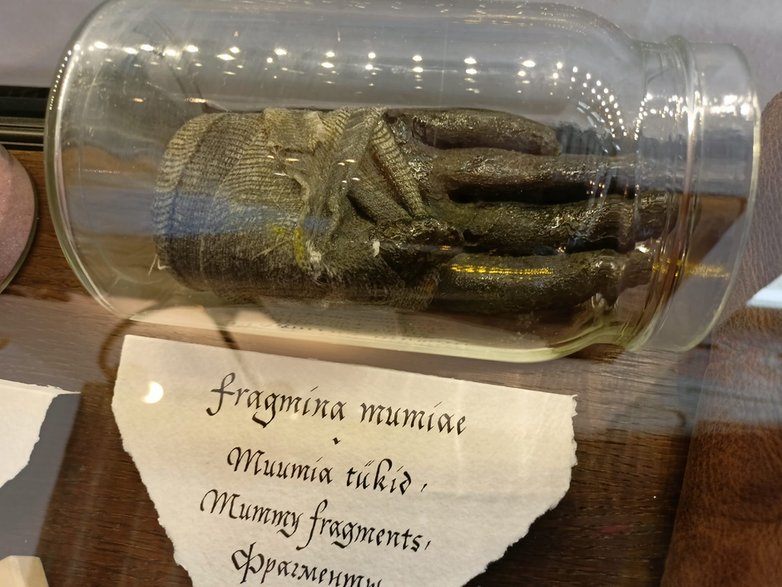 Ręka ludzkiej mumii