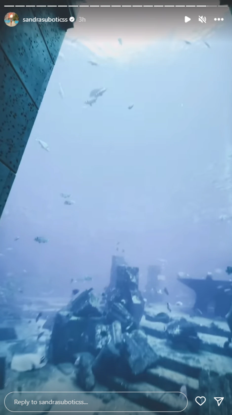 Aleksandra Subotić uživa u luksuzu