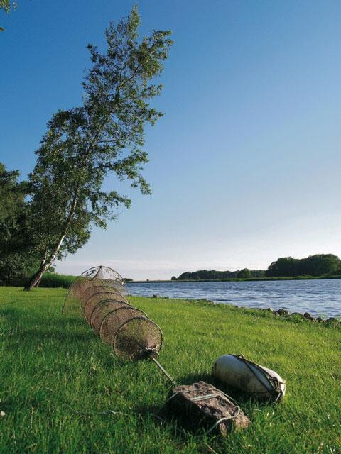 Galeria Szwecja - kajakiem przez archipelag Blekinge, obrazek 6