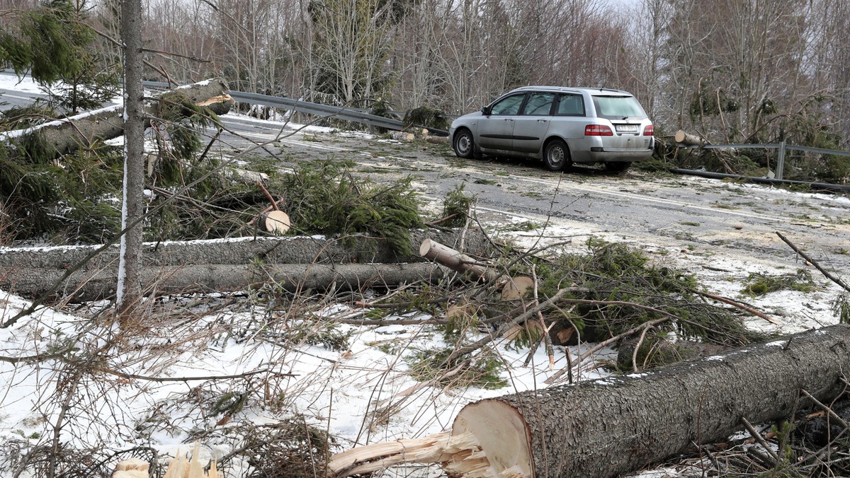 Powrót prawdziwej zimy? W wielu miejscach spadł śnieg 