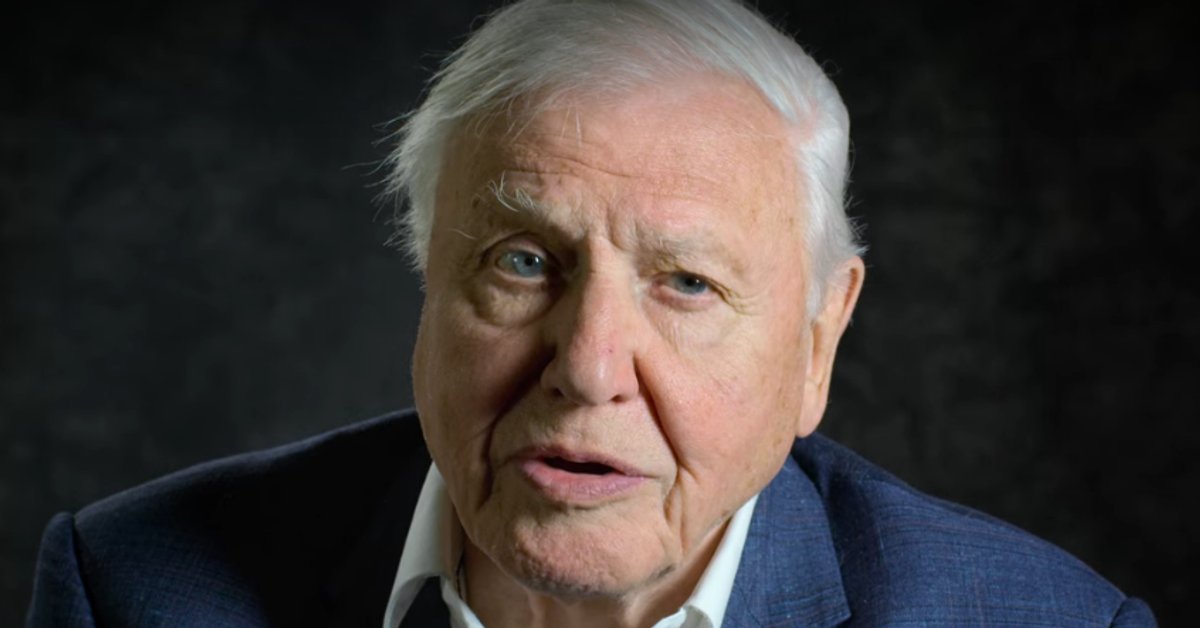 Sir David Attenborough advierte a los líderes del G7 sobre el cambio climático