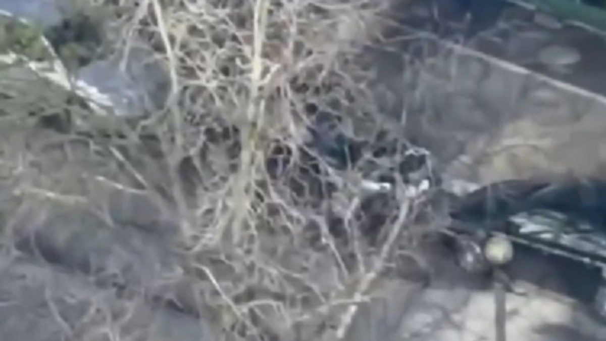 Policajci beže od napadača u Kijevu, snimak