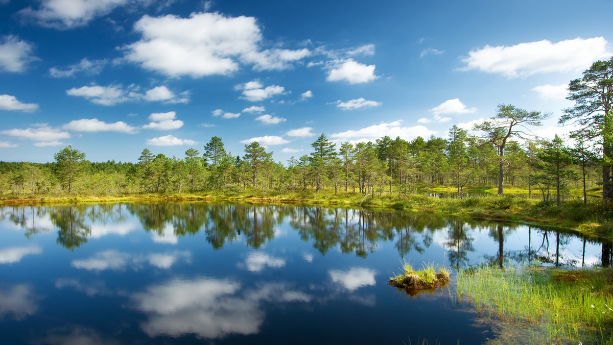 Park Narodowy Lahemaa, Estonia