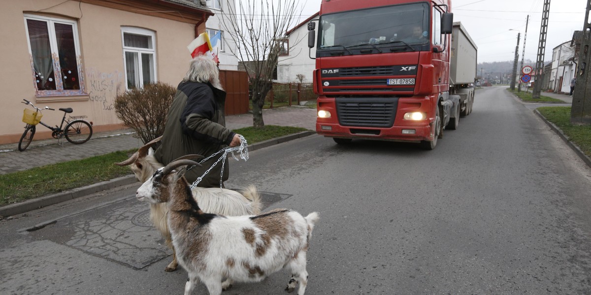 Moje kozy wygrały z tirami