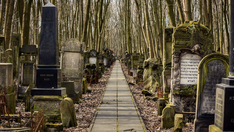 Warszawa, cmentarz żydowski, ul. Okopowa. Widok ogólny kwatery 45. Zbiory Muzeum Historii Żydów Polskich POLIN
