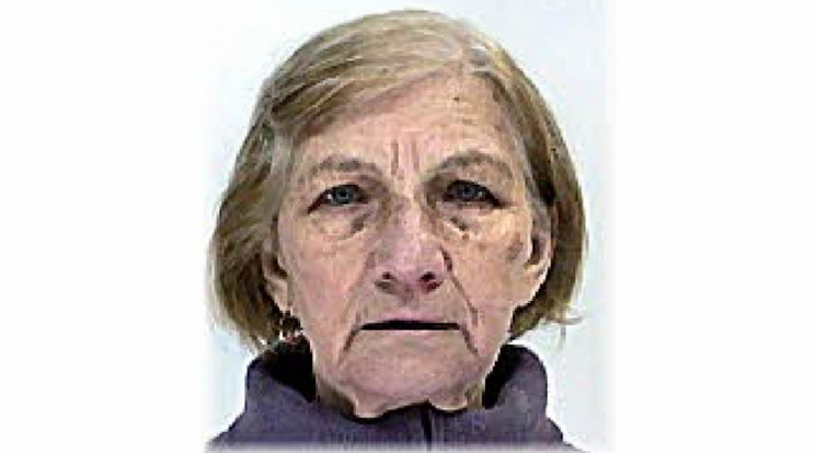 A 84 éves asszony Dunaújvárosból tűnt el /Fotó: police.hu