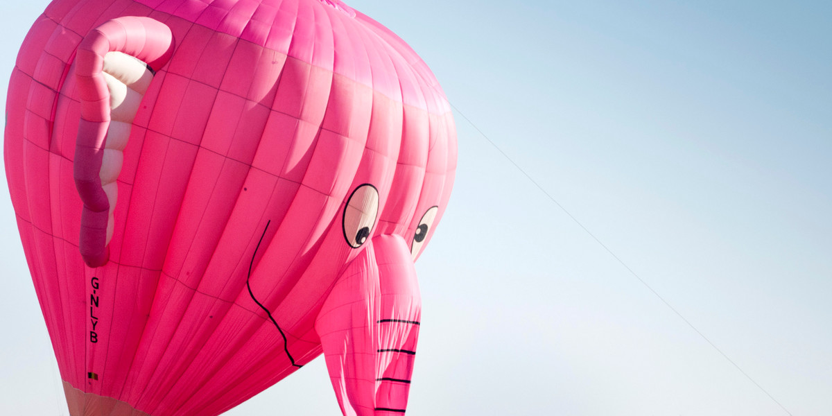 A pink elephant balloon, one of the entries in the Canadian Hot Air Balloon Championships, lands in a field in High River September 27, 2013. The event is a qualifier for the World Hot Air Balloon Championships in Sao Paulo in 2014.