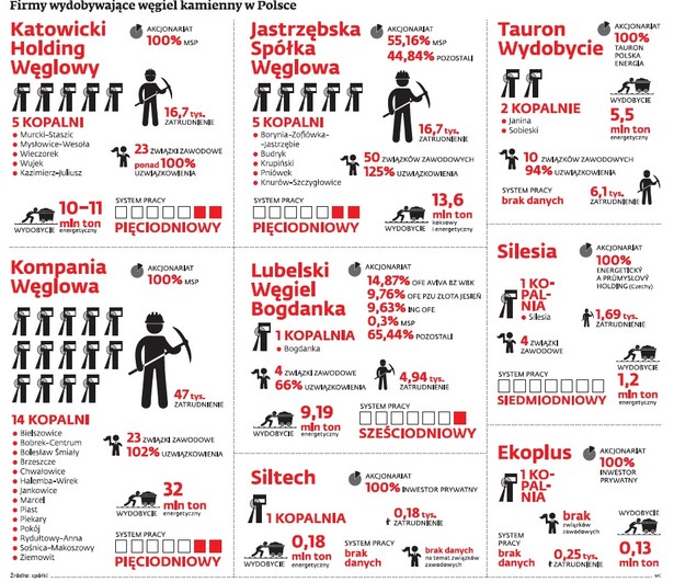 Firmy wydobywujące węgiel kamienny w Polsce