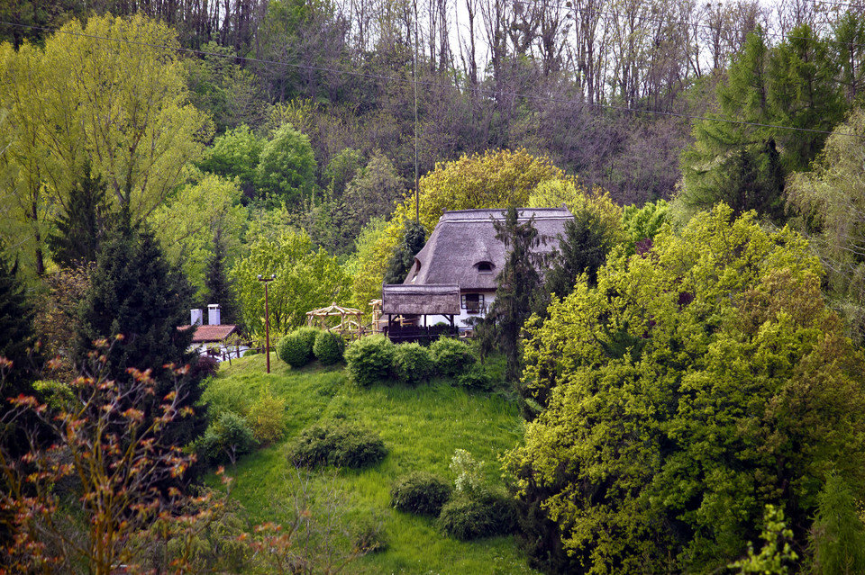 Okolice Koprivnicy (Podravina)