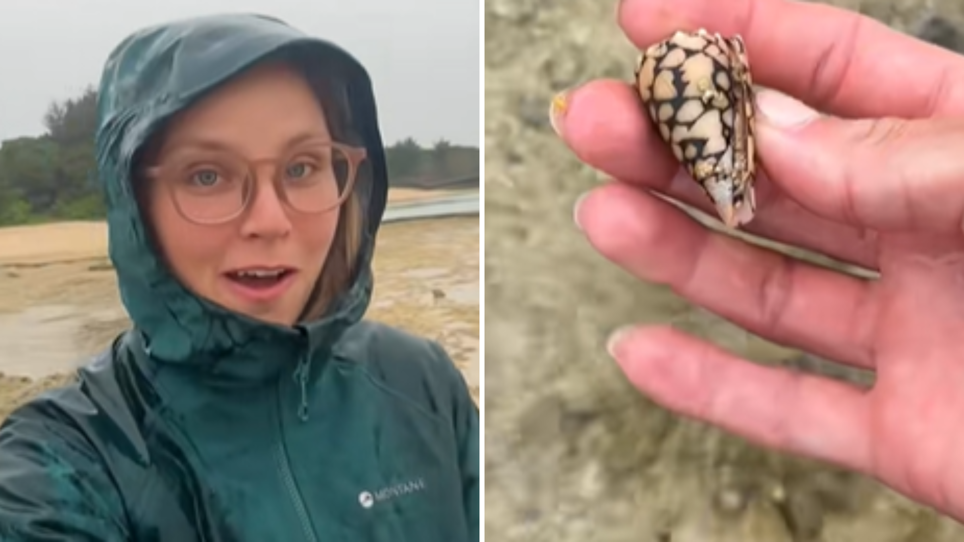 Tento živočích dokáže paralyzovať a zabiť človeka.