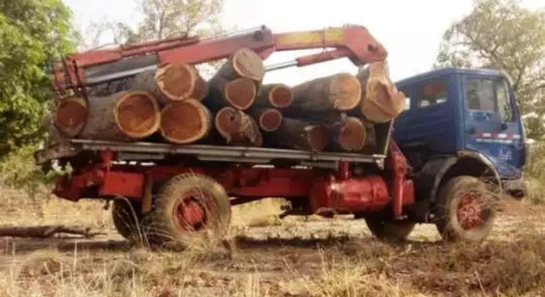 Impounded truck of rosewood