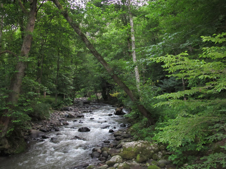 Gruzja 2011 - Galeria