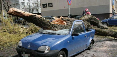 Tak drzewo runęło na auto. Sekundy wcześniej wysiadła z niego kobieta