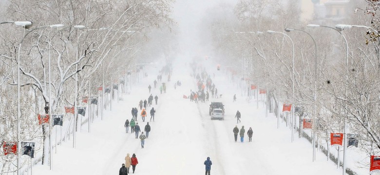 Filomena zasypała Hiszpanię. Rząd wysyła konwoje z pomocą