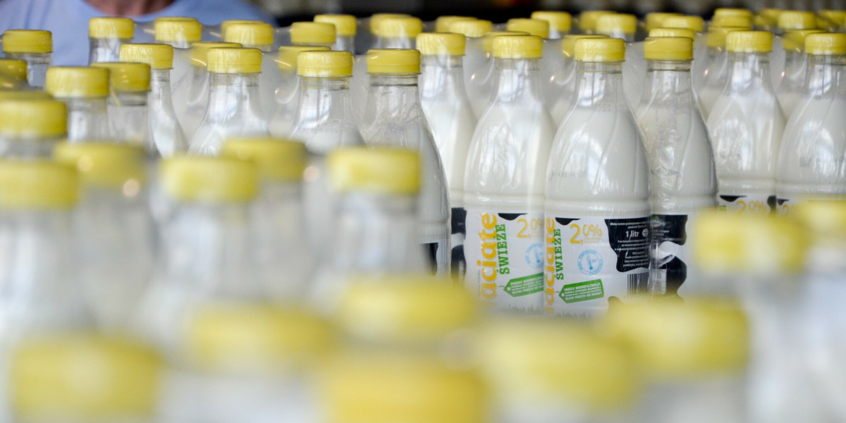 Mlekpol to jeden z największych producentów mleka i wyrobów mleczarskich w Polsce