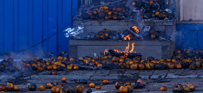 Ekspertka OSW: Niemcy powinny rozliczyć się ze swojej błędnej polityki wobec Rosji