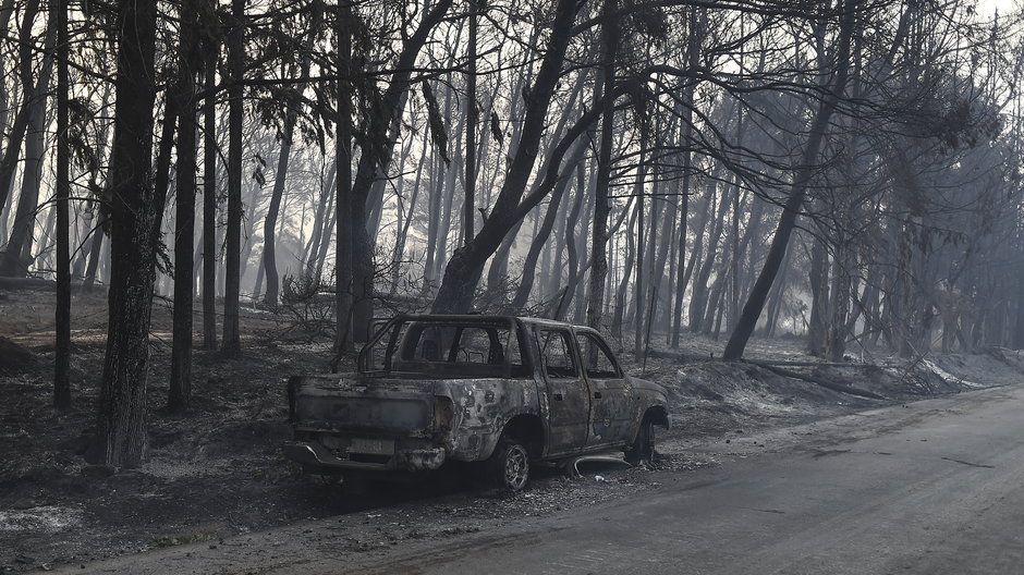 Pożary trawią lasy i obiekty mieszkalne na przedmieściach Aten