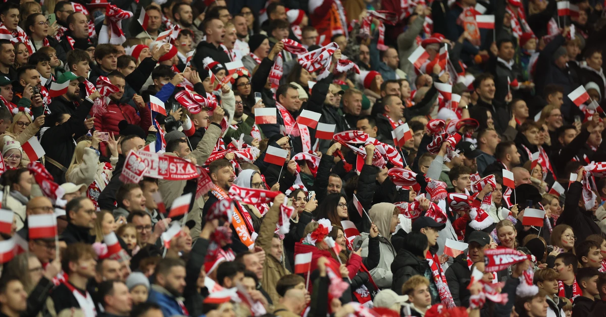 Polscy kibice aresztowani na Malcie. Zostali zatrzymani tuż po wylądowaniu samolotu