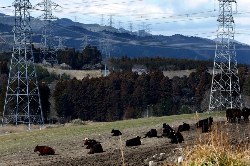 Krave iz zone isključenja